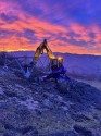 0_5604083_41253.jpg
